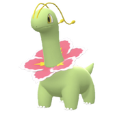 Buy Meganium in Brilliant Diamond & Shining Pearl